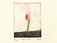 t.a-p0011